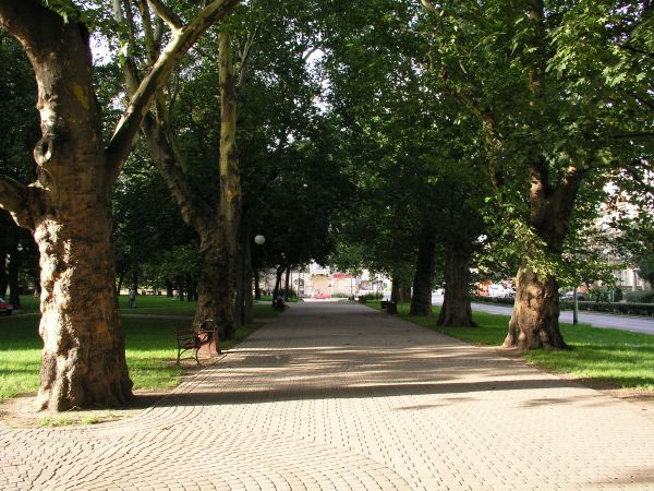 legnica_105