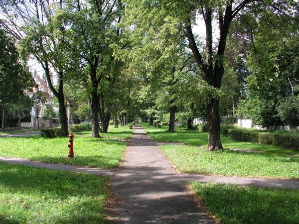 legnica_060