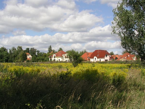 legnica_087