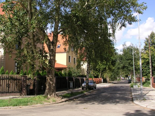 legnica_110