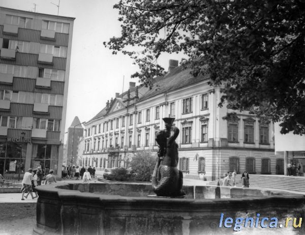 LEGNICA 1986 год...1144