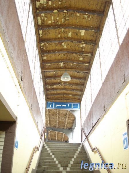 DSC04566