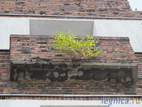 Legnica_20_880