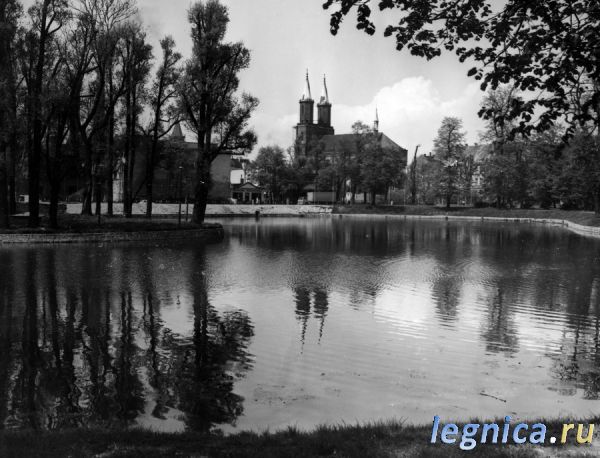 LEGNICA 1986 год...1147
