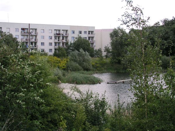 legnica_085