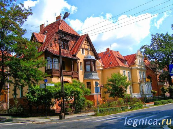Привет от Тёти Раи _1263