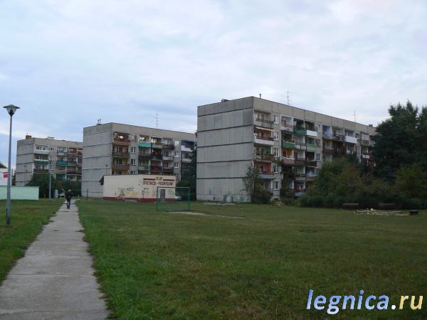 3 Поросёнка