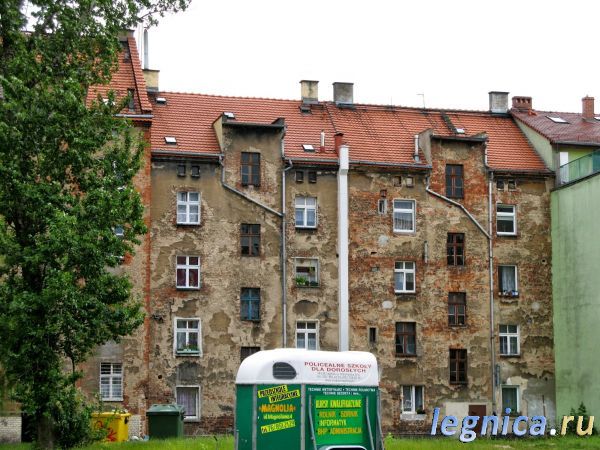 Привет от Тёти Раи _1302