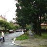 DSC04630