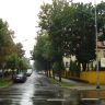 DSC04642