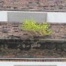 Legnica_20_880