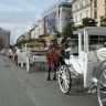 DSC04687